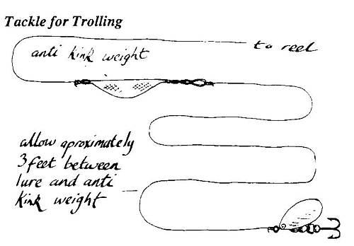 fishing knots and rigs. fishing knots rigs