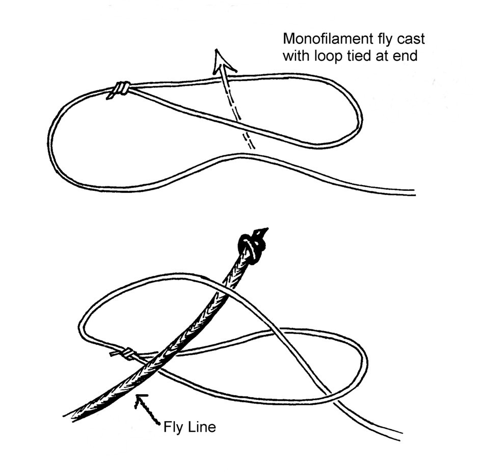 Loop knot to attach cast to main fly line